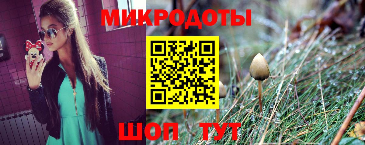 Снежинск  Псилоцибиновые грибы Magic Shrooms  где купить наркоту  Вход с VPN 