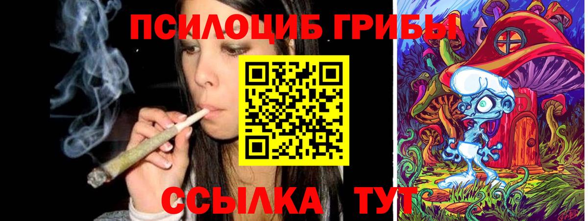 Псилоцибиновые грибы GOLDEN TEACHER Снежинск